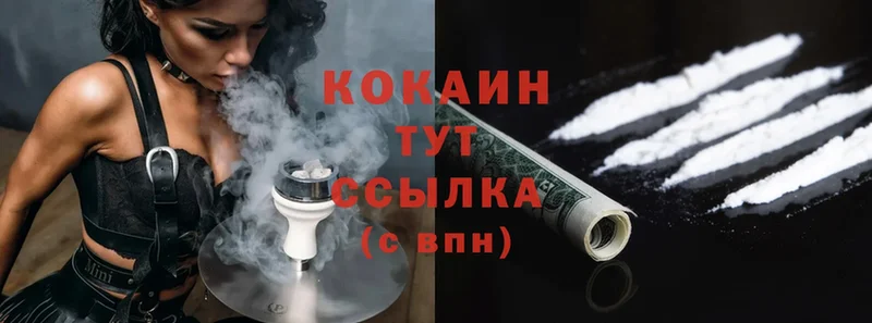 где можно купить наркотик  Ревда  Cocaine Колумбийский 